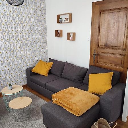 Confortable Appartement Au Centre De Selestat Ngoại thất bức ảnh