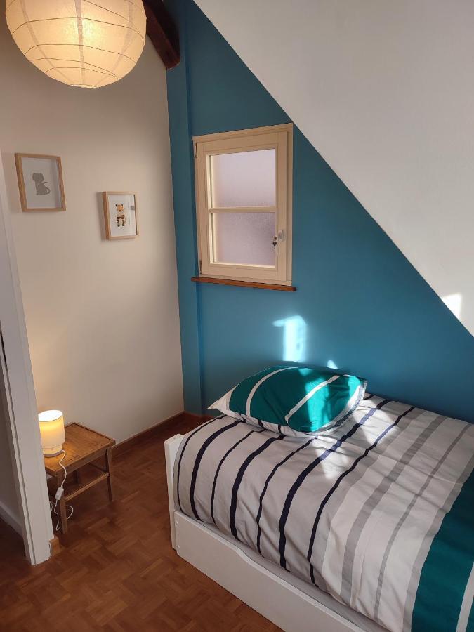 Confortable Appartement Au Centre De Selestat Ngoại thất bức ảnh